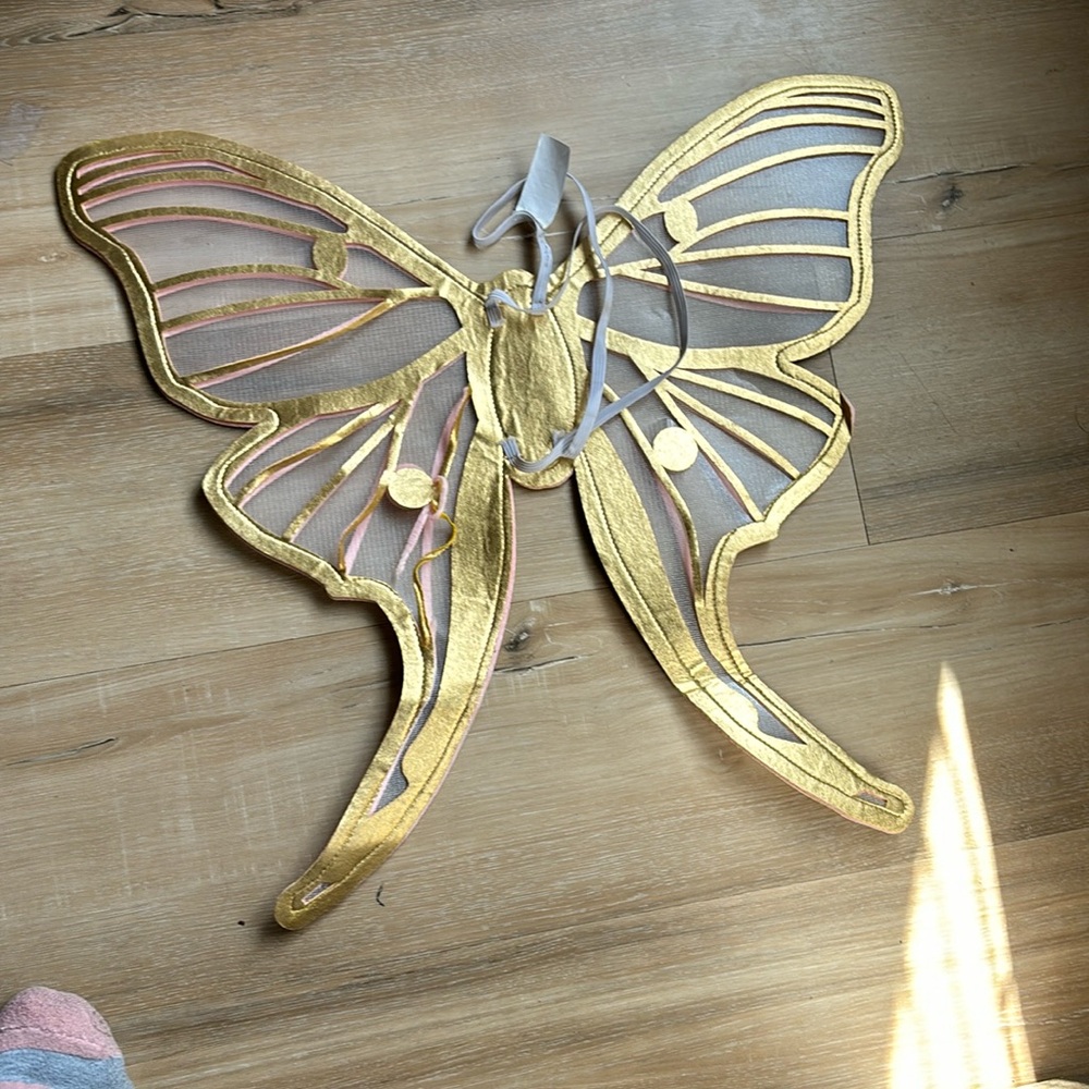 Butterfly wings